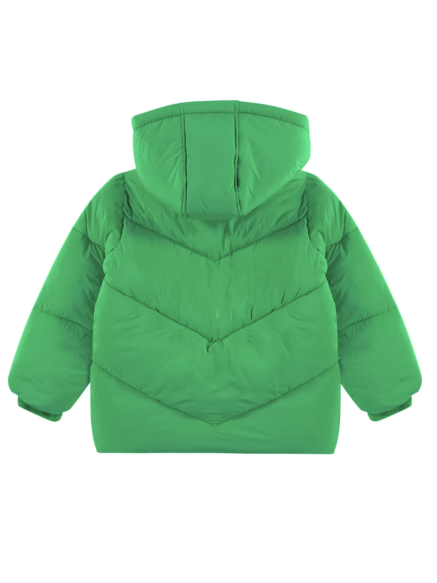 Babyface-Boys' Green Jacket with hood-SSA24507171